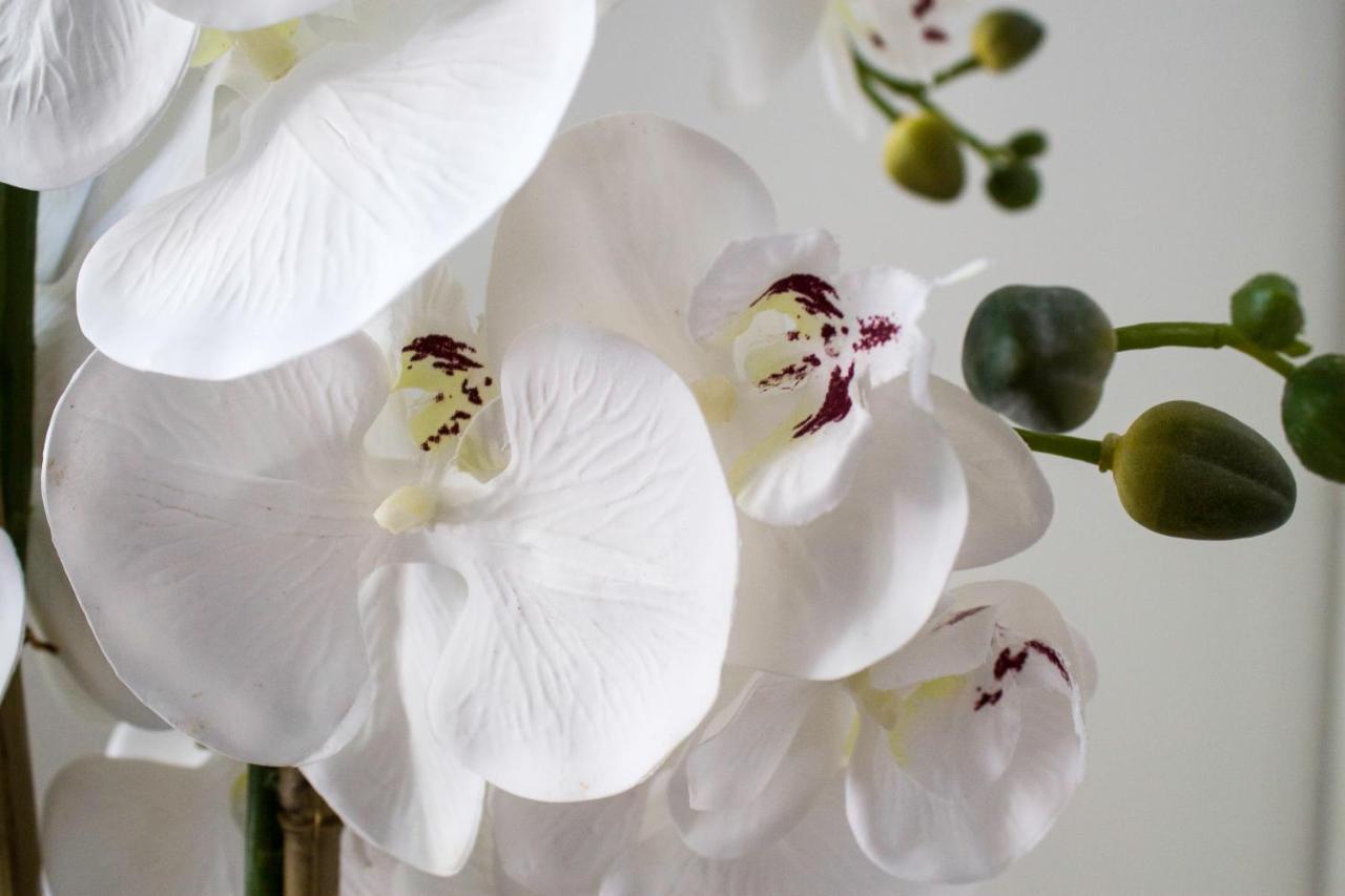 Ferienwohnung White Orchid Pula Exterior foto
