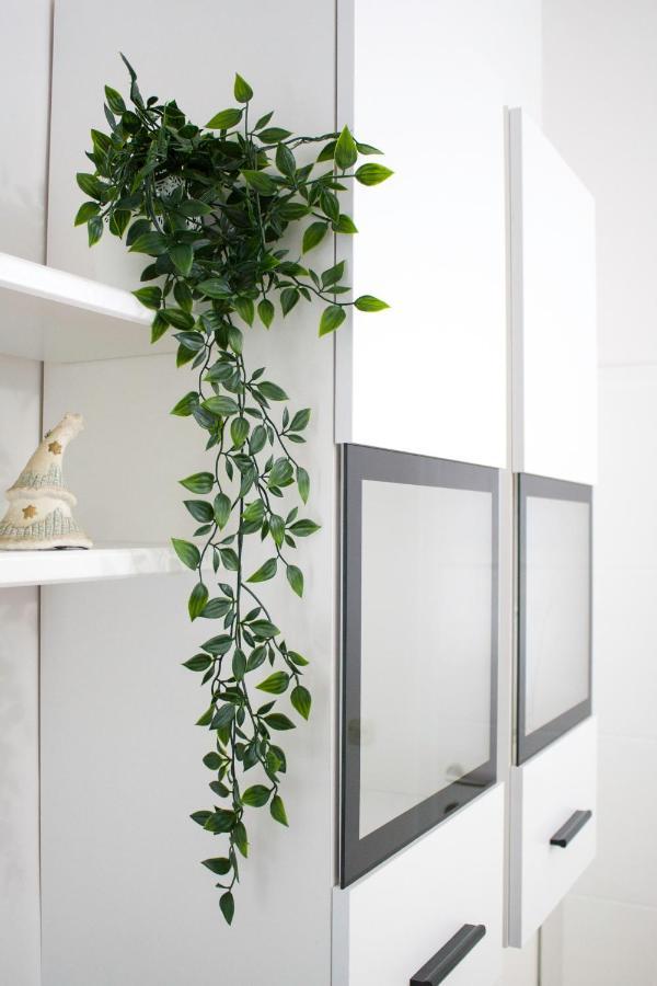 Ferienwohnung White Orchid Pula Exterior foto
